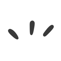 An adjustable fit